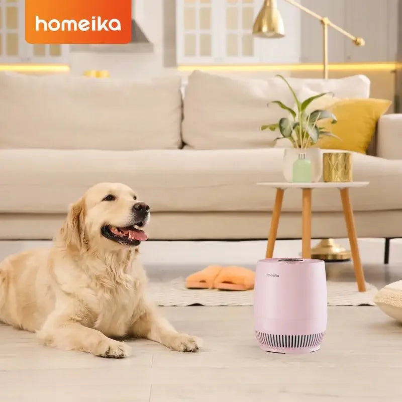 Air Purifier for Home Allergies and Pet Hair Problems